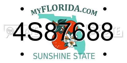4S87688 Florida License Plate