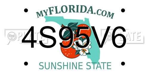 4S95V6 Florida License Plate