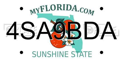 4SA9BDA Florida License Plate