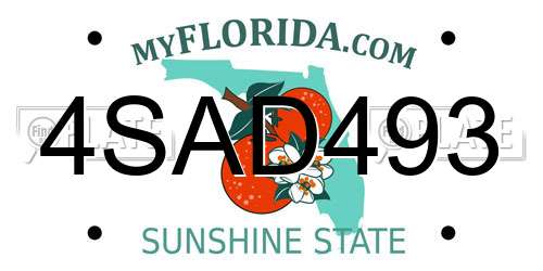 4SAD493 Florida License Plate