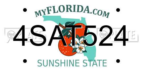 4SAT524 Florida License Plate