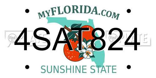 4SAT824 Florida License Plate