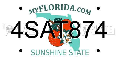 4SAT874 Florida License Plate