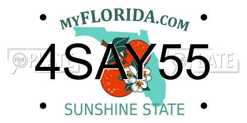 4SAY55 Florida License Plate