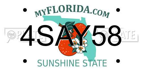 4SAY58 Florida License Plate