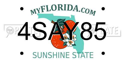4SAY85 Florida License Plate