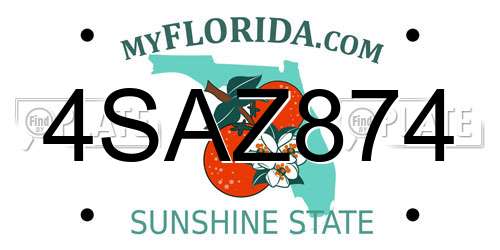 4SAZ874 Florida License Plate