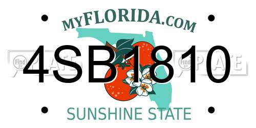 4SB1810 Florida License Plate