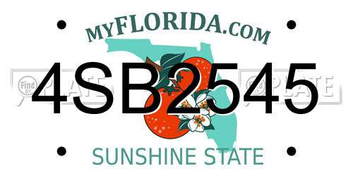 4SB2545 Florida License Plate