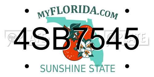4SB7545 Florida License Plate
