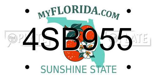 4SB955 Florida License Plate