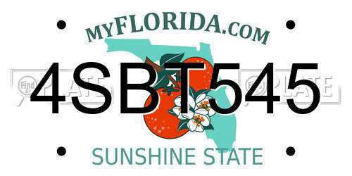 4SBT545 Florida License Plate