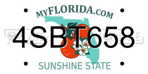 4SBT658 Florida License Plate
