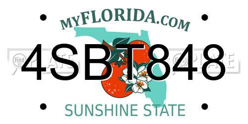 4SBT848 Florida License Plate