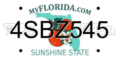 4SBZ545 Florida License Plate