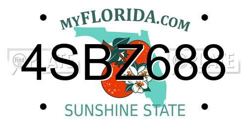 4SBZ688 Florida License Plate