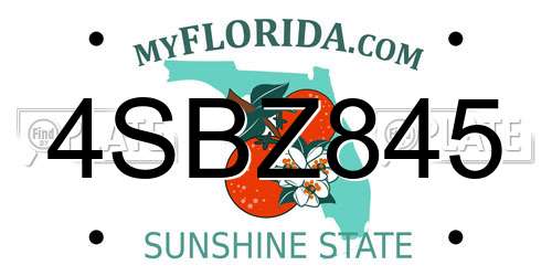 4SBZ845 Florida License Plate