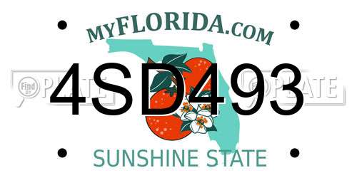 4SD493 Florida License Plate