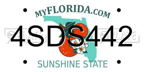 4SDS442 Florida License Plate
