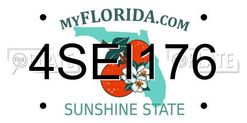 4SEI176 Florida License Plate