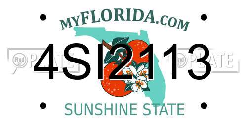 4SI2113 Florida License Plate
