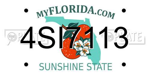 4SI7113 Florida License Plate