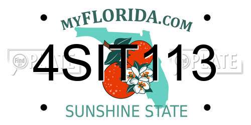 4SIT113 Florida License Plate