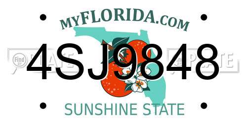 4SJ9848 Florida License Plate