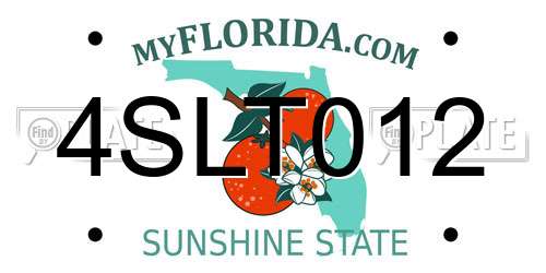 4SLT012 Florida License Plate