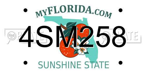 4SM258 Florida License Plate