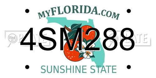 4SM288 Florida License Plate
