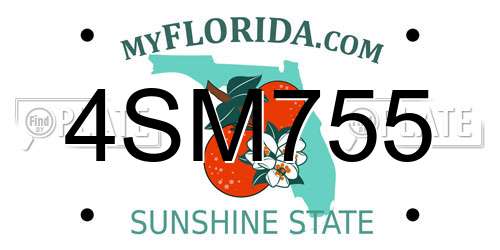4SM755 Florida License Plate
