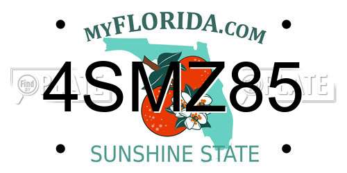 4SMZ85 Florida License Plate