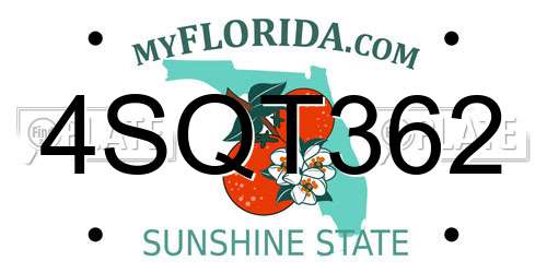4SQT362 Florida License Plate