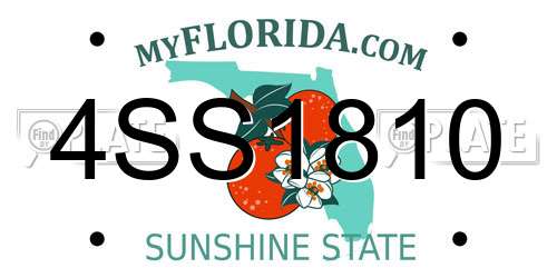4SS1810 Florida License Plate