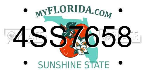4SS7658 Florida License Plate