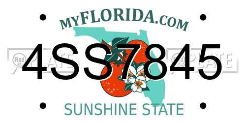 4SS7845 Florida License Plate