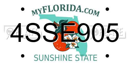 4SSE905 Florida License Plate