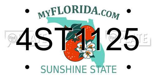 4ST1125 Florida License Plate