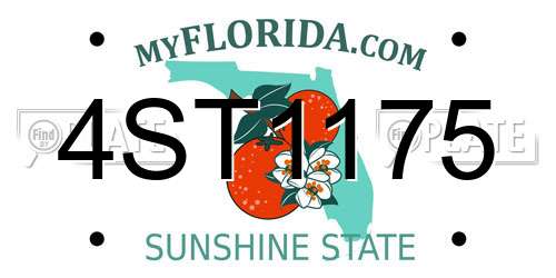 4ST1175 Florida License Plate