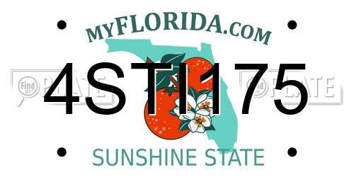 4STI175 Florida License Plate