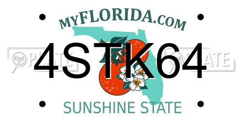 4STK64 Florida License Plate