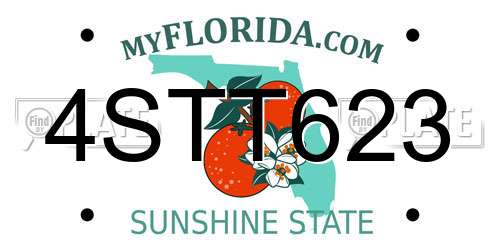 4STT623 Florida License Plate