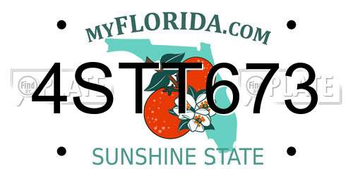 4STT673 Florida License Plate