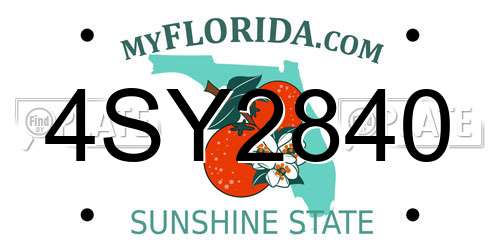 4SY2840 Florida License Plate