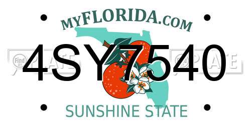 4SY7540 Florida License Plate