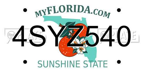 4SYZ540 Florida License Plate