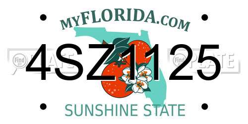 4SZ1125 Florida License Plate