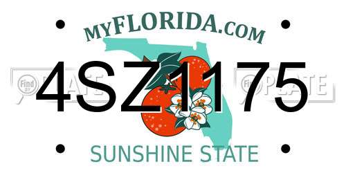4SZ1175 Florida License Plate