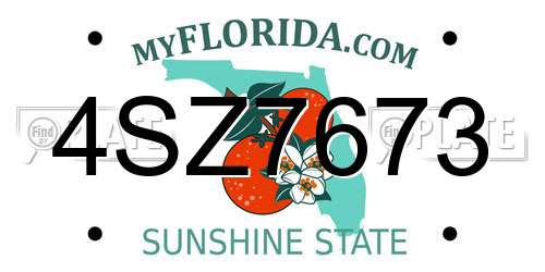 4SZ7673 Florida License Plate
